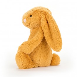 Bashful Saffron Bunny