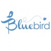 Bluebird Creations